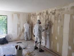 Why You Should Choose Our Mold Remediation Services in Placeholder9